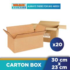 Plain Carton Box 30 CM X 23 CM X 21CM (T150)