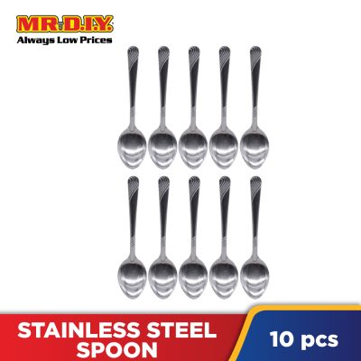 Stainless Steel Serving Spoon 10 PCS