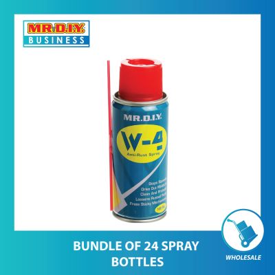 (MR.DIY) Anti-Rust Lubricant Spray (100ml)