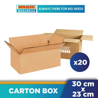 Plain Carton Box  T175 (30 cm X 23 cm X 21 CM)