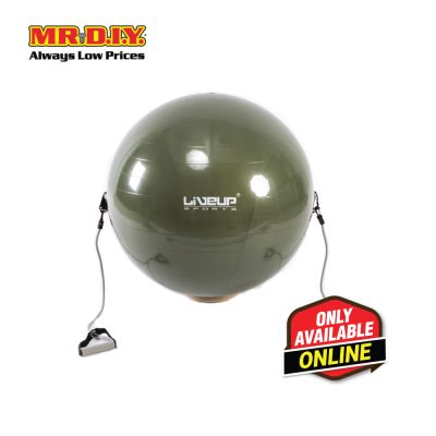 LIVEUP Sports Exercise Gym Ball With Expander - Grey (65cm) LS3227