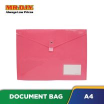 Document Bag